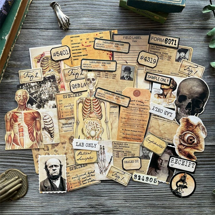DIY Scrapbooking Vintage Bebek - Vintage Collectible Dolls incelemesi ve fiyatı