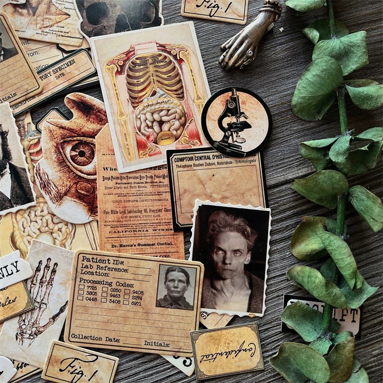 DIY Scrapbooking Vintage Bebek - Vintage Collectible Dolls incelemesi ve fiyatı