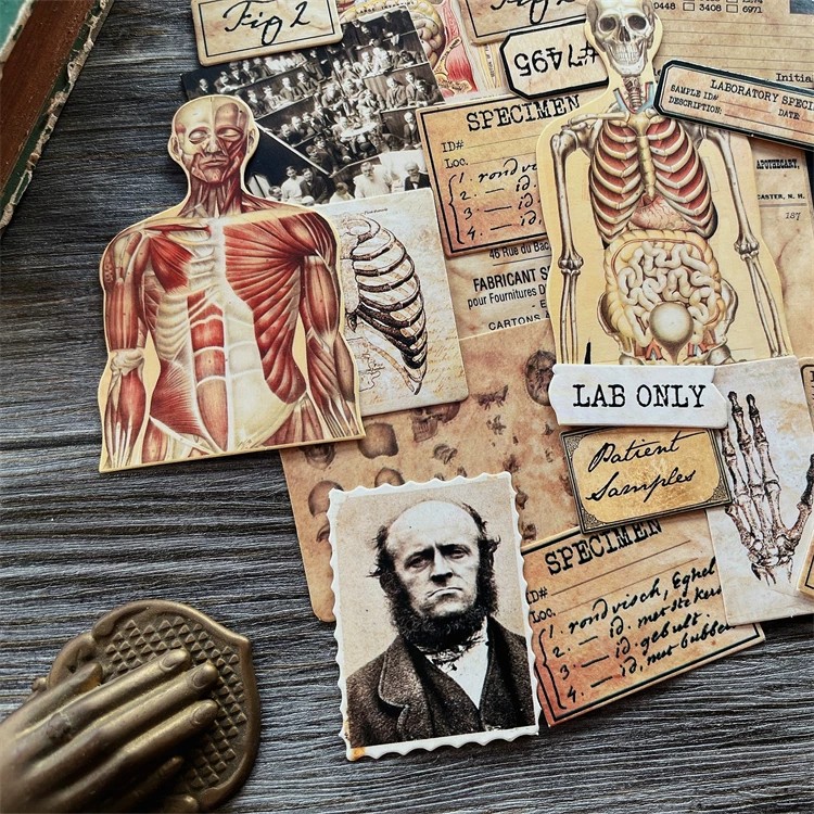 DIY Scrapbooking Vintage Bebek - Vintage Collectible Dolls incelemesi ve fiyatı