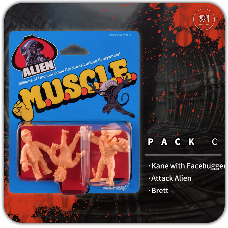 Polyphony Super7 Muscle Stokta - Vintage Toys Collector incelemesi ve fiyatı